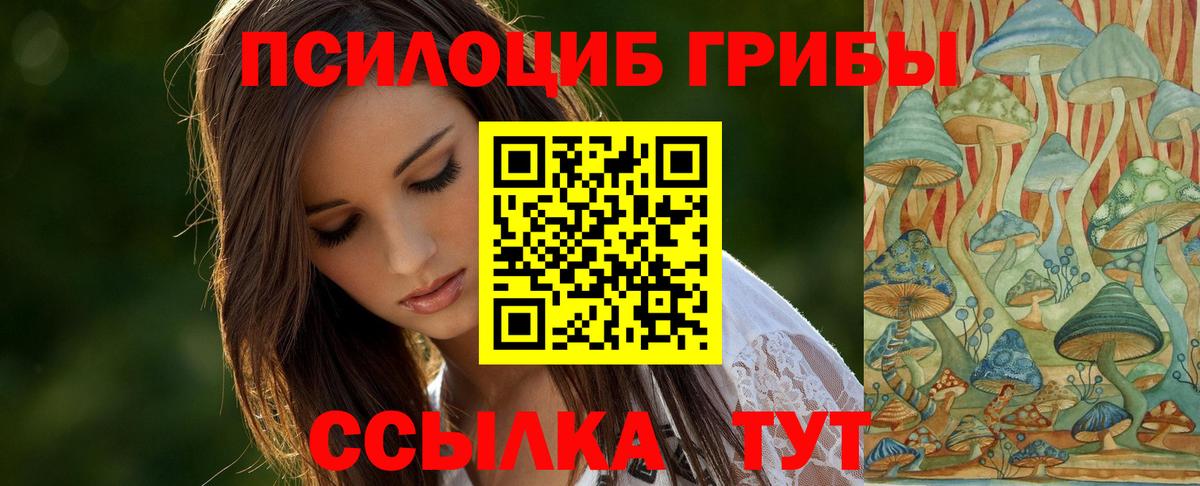 Сыктывкар  Галлюциногенные грибы Cubensis  Вход с VPN  Псилоцибиновые грибы MAGIC MUSHROOMS 